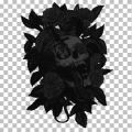 Thumbnail for version as of 00:02, 21 March 2025